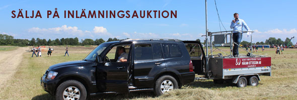 Sälja på inlämningsauktion